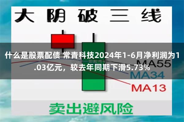 什么是股票配债 常青科技2024年1-6月净利润为1.03亿元，较去年同期下滑5.73%