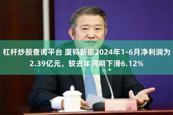 杠杆炒股查询平台 厦钨新能2024年1-6月净利润为2.39亿元，较去年同期下滑6.12%