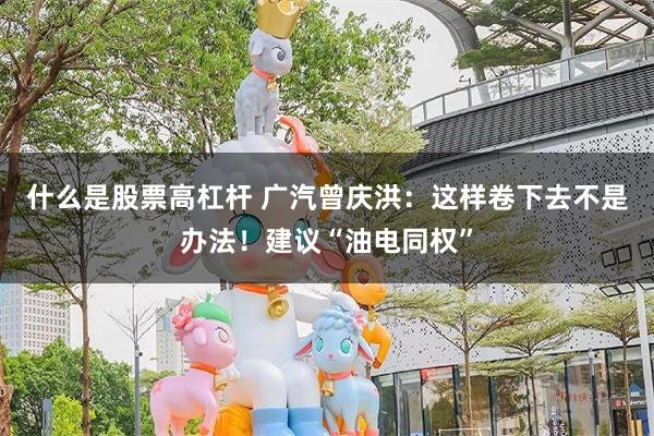 什么是股票高杠杆 广汽曾庆洪：这样卷下去不是办法！建议“油电同权”