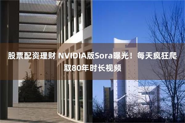 股票配资理财 NVIDIA版Sora曝光！每天疯狂爬取80年时长视频