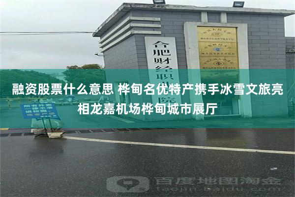 融资股票什么意思 桦甸名优特产携手冰雪文旅亮相龙嘉机场桦甸城市展厅