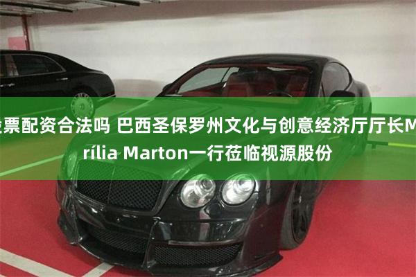 股票配资合法吗 巴西圣保罗州文化与创意经济厅厅长Marília Marton一行莅临视源股份