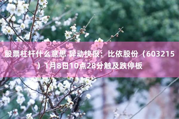 股票杠杆什么意思 异动快报：比依股份（603215）1月8日10点28分触及跌停板